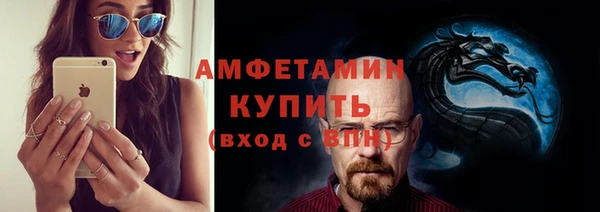 ПСИЛОЦИБИНОВЫЕ ГРИБЫ Богданович