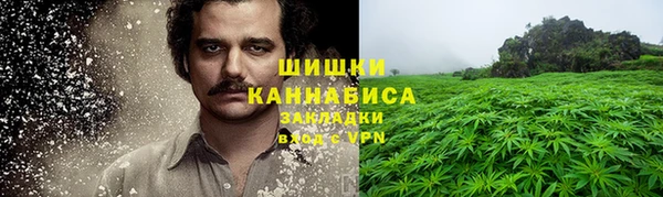 сатива Ступино