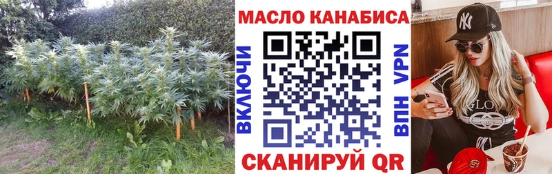 хочу Краснослободск Дистиллят ТГК THC oil