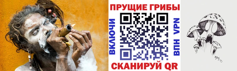 цена наркотик  Краснослободск  Псилоцибиновые грибы MAGIC MUSHROOMS 